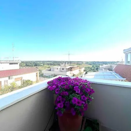 Super Attico Sul Parco Della Caffarella Apartment Rome